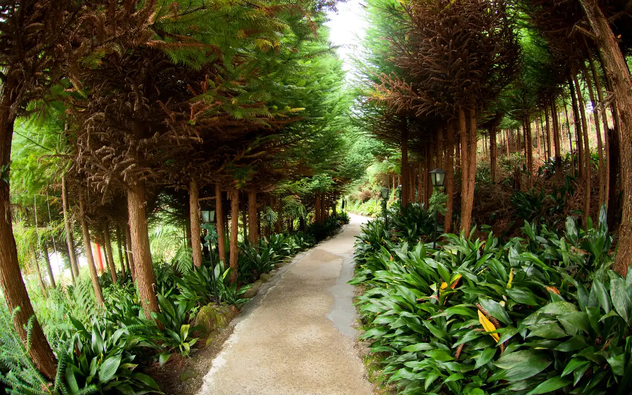 Caminho pela Aldeia do Papai Noel em Gramado RS