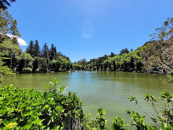 Lago Negro Gramado