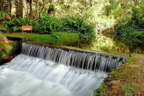 Campos do Jordão Horto