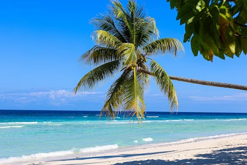 Jamaica Caribe