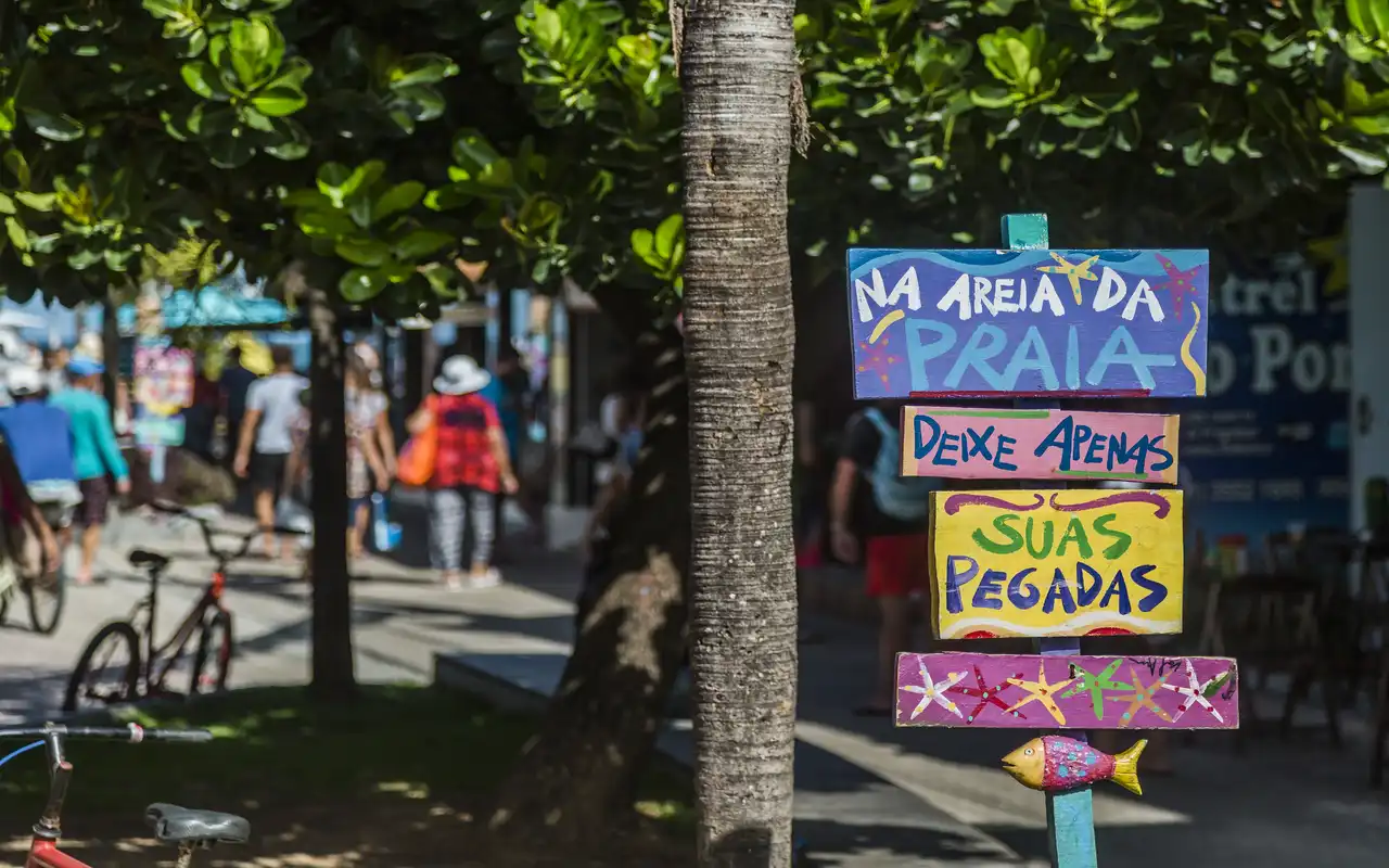 Aproveite o máximo de Porto de Galinhas