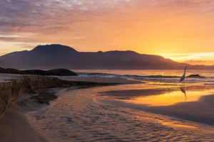 Ilha Grande Angra dos Reis - Descubra o que fazer na Ilha Grande e seus paraísos
