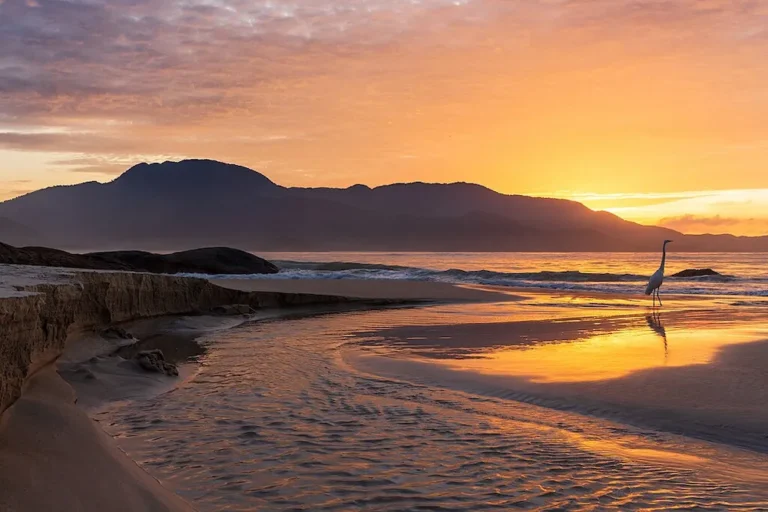 Ilha Grande Angra dos Reis - Descubra o que fazer na Ilha Grande e seus paraísos
