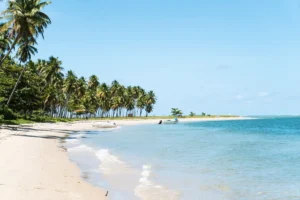Praia dos Carneiros em Pernambuco