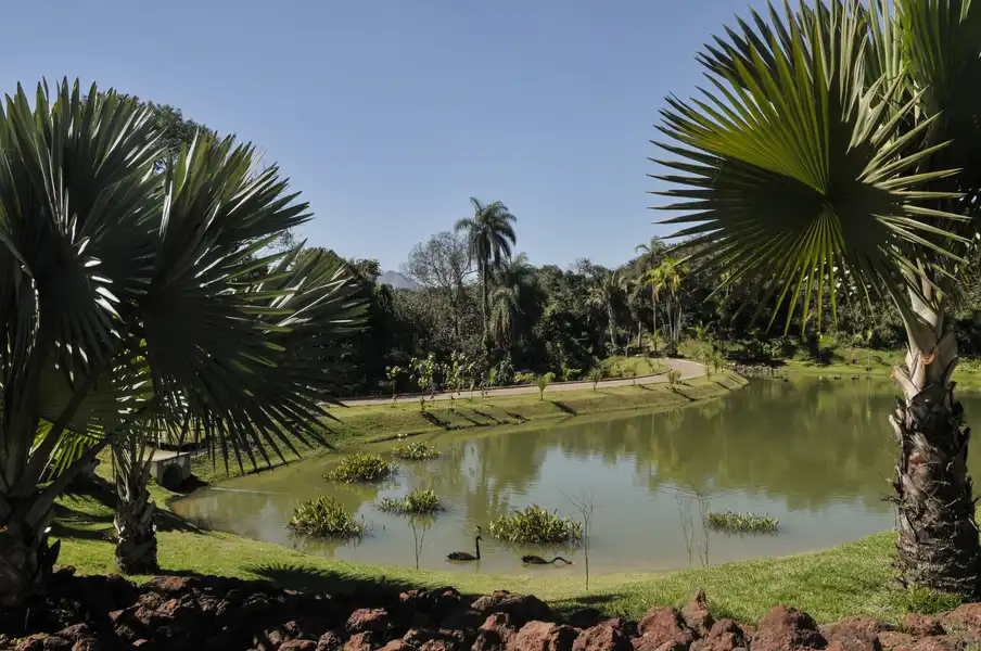 Descubra o que fazer em Brumadinho MG