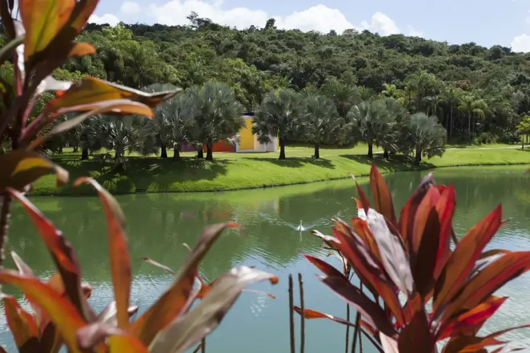 Brumadinho MG - Inhotim - Descubra o que fazer em Brumadinho