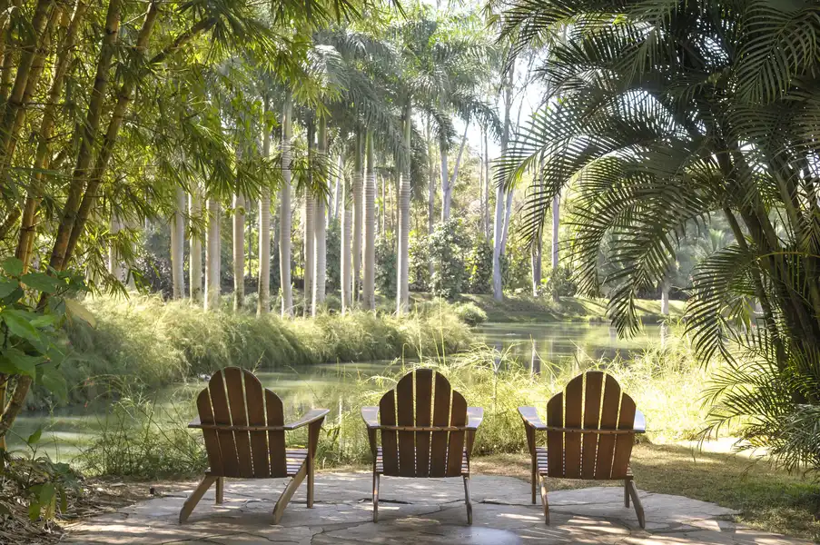 Brumadinho MG - Inhotim - O melhor de Inhotim