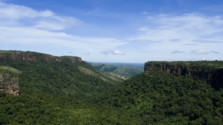 Conheça Chapada dos Guimarães (MT) - O que fazer Chapada dos Guimarães