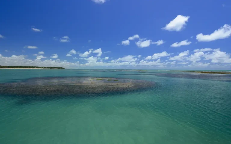 Confira a Tábua de Maré de João Pessoa