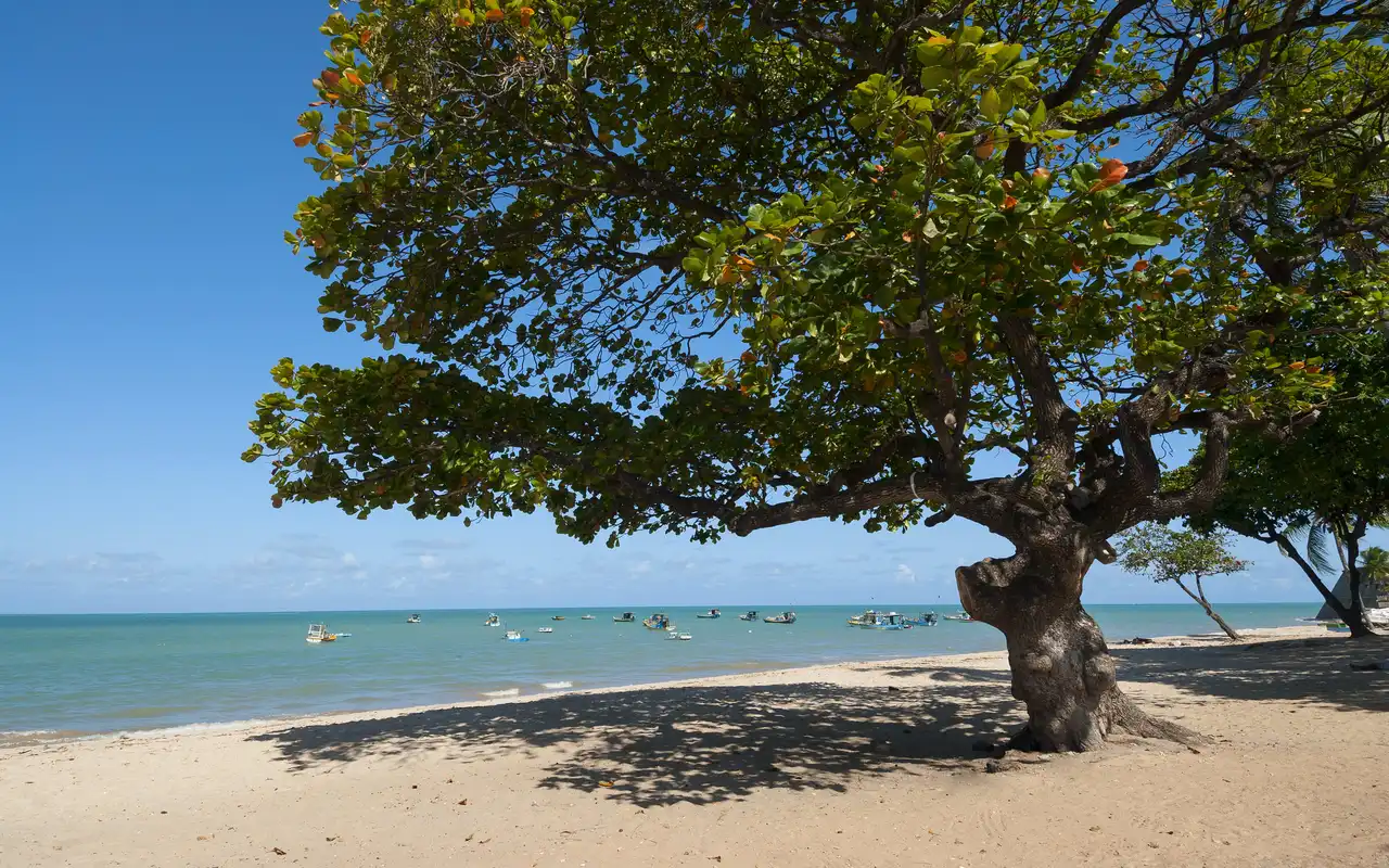 Praia de Tabau em João Pessoa na Paraíba 