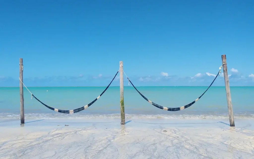 Praia de Maragogi para curti as Férias