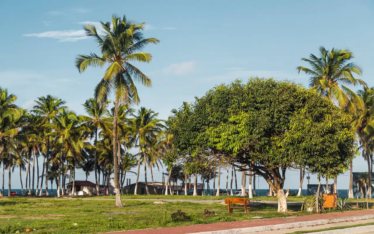 Maracaípe em Porto de Galinhas