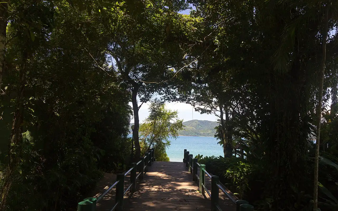 Vista Mar entre arvores em Ubatuba