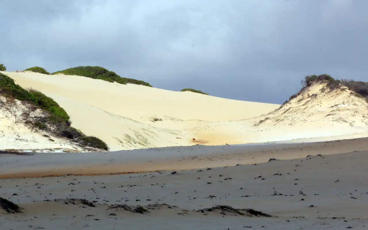Dunas em Natal RN