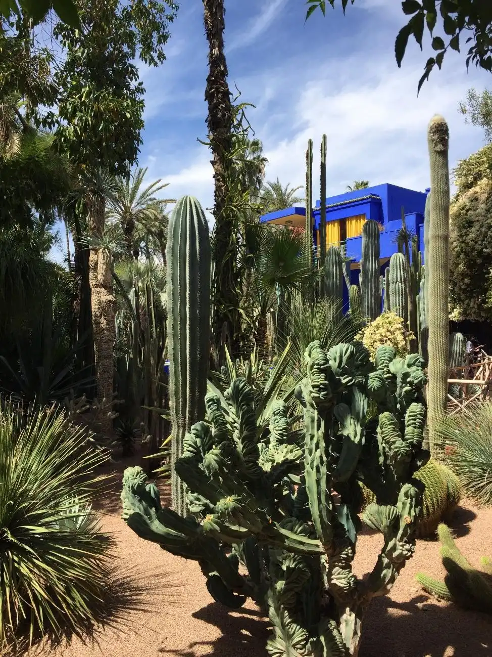 Jardim Majoelle em Marrakech