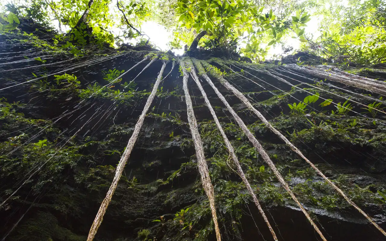 Cânion da Sussuapara, um refúgio natural do Jalapão com paredões imponentes e clima úmido que encanta os visitantes