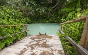 O que fazer no Jalapão, explorando paisagens naturais únicas