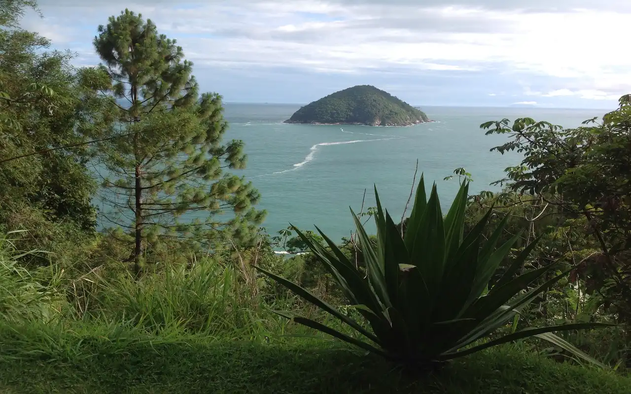 Vista deslumbrante da Praia de Calhetas em São Sebastião, SP. Águas calmas e cristalinas cercadas por Mata Atlântica intocada, com destaque para uma ilha verde no meio do oceano.