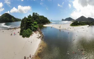 Vista panorâmica da Praia de Camburi, considerada uma das melhores praias de São Sebastião. Faixa de areia clara, mar azul com ondas e densa Mata Atlântica ao fundo.