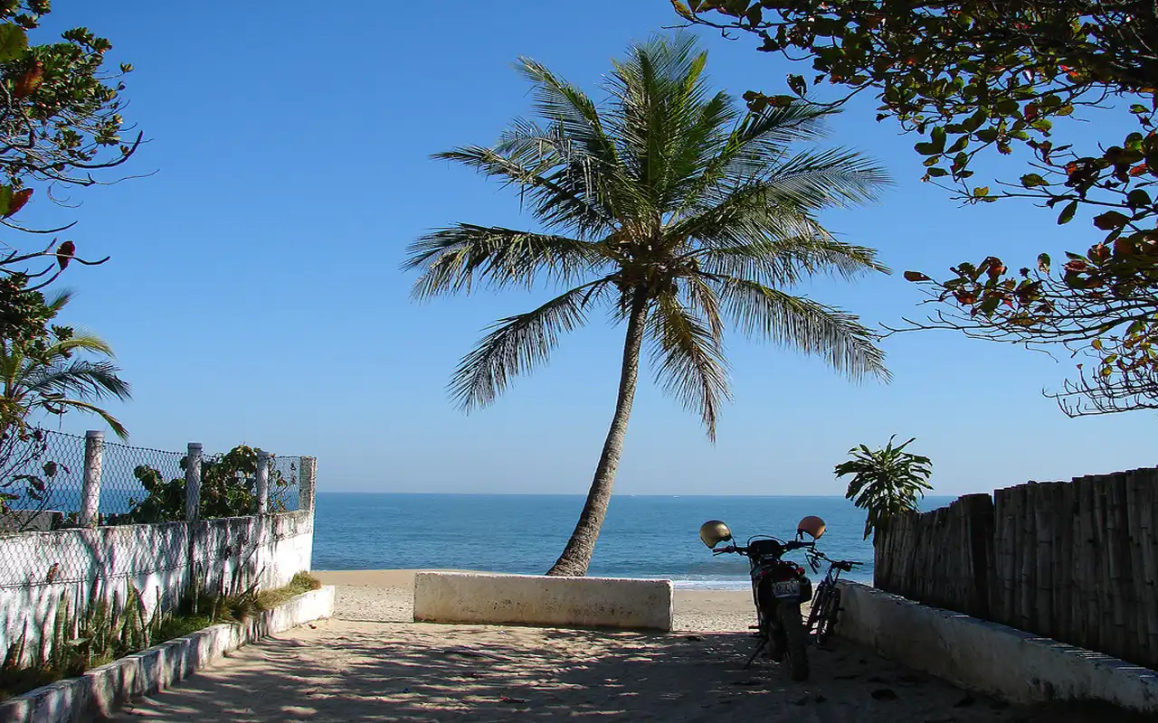 Rua tranquila com um coqueiro ao centro e o mar ao fundo na Praia de Paúba. Ótima opção de onde ficar em São Sebastião para quem busca pousadas intimistas e sossego.